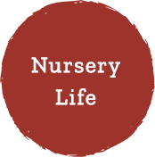 Nursery Life